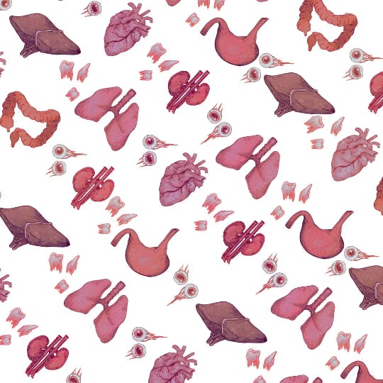 user avatar image for Maybels Art