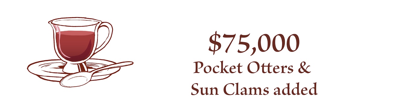At $75,000, Pocket Otters & Sun Clams Added
