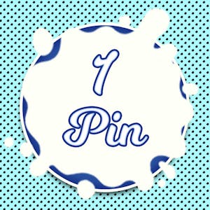 1 Pin