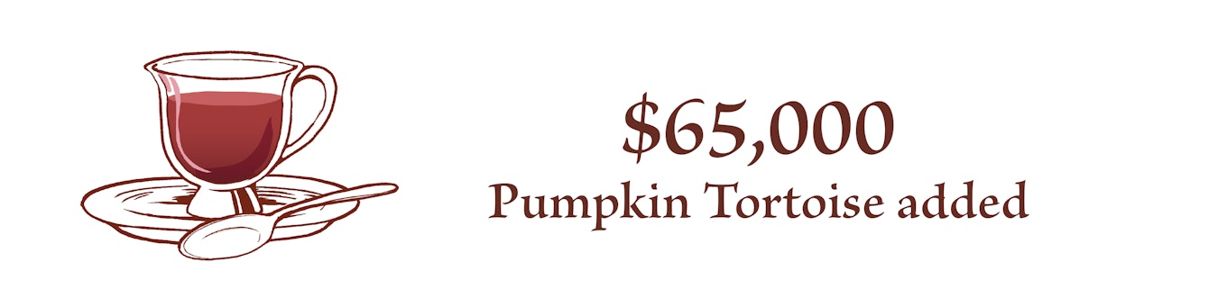 At $65,000, Pumpkin Tortoise Added