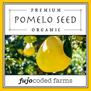 Pomelo Seed – 20% off store