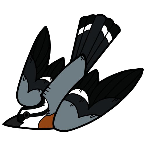 Red-Breasted Nuthatch