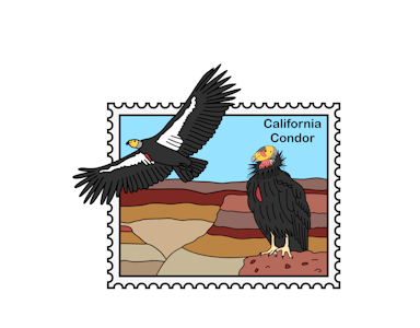 California Condor vinyl sticker