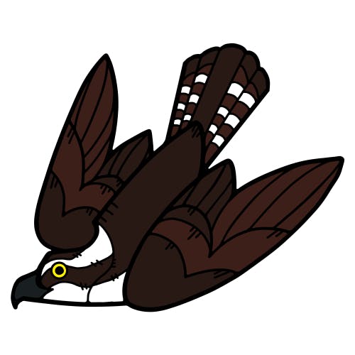 Osprey