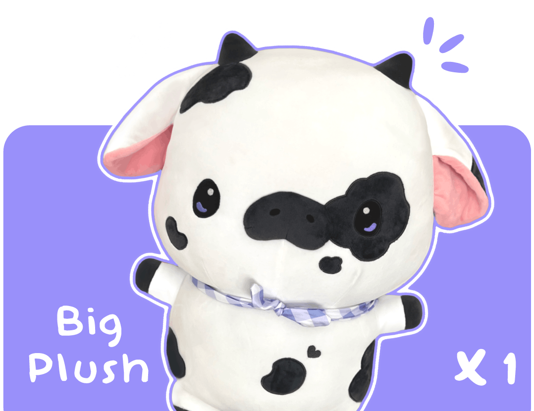【1 BIG PLUSH】🧸💖