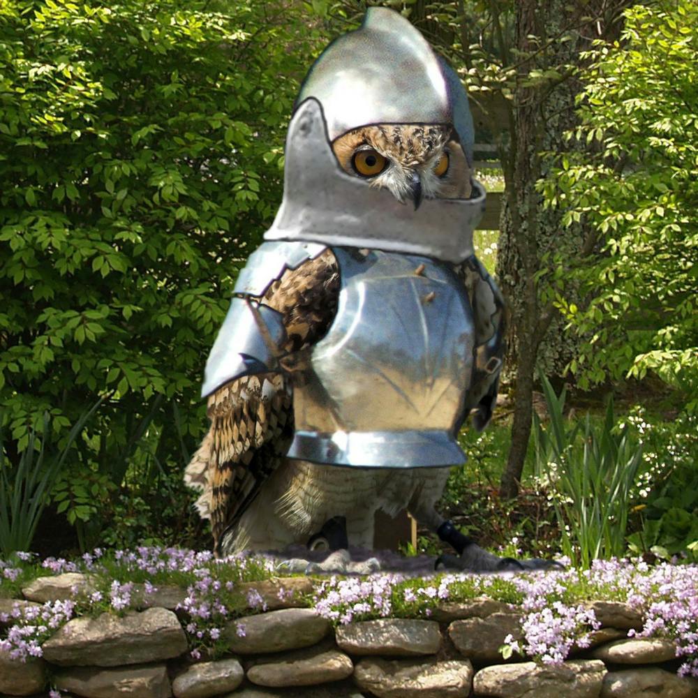 user avatar image for Richard Parker