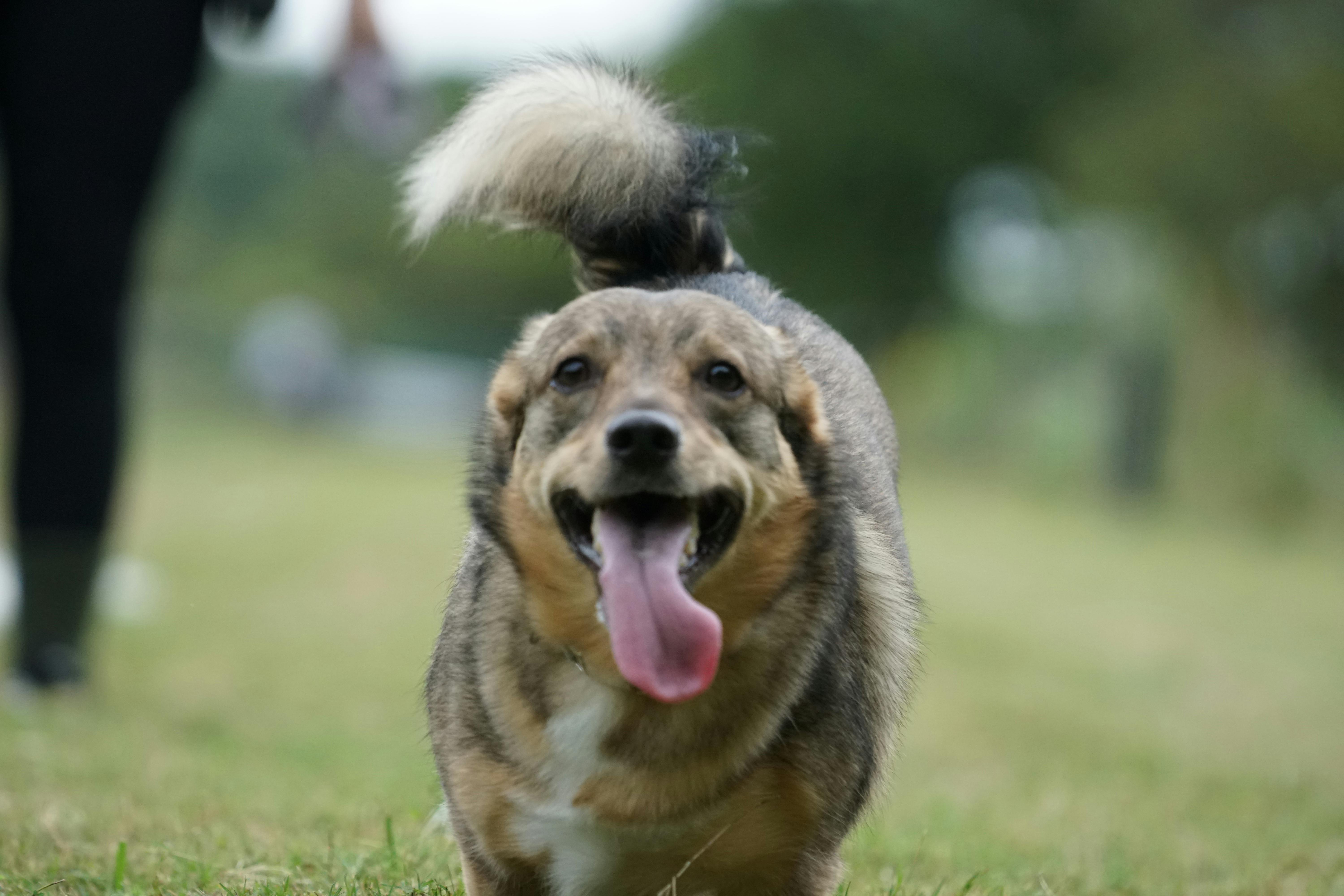 user avatar image for Jenna Catherine Robles