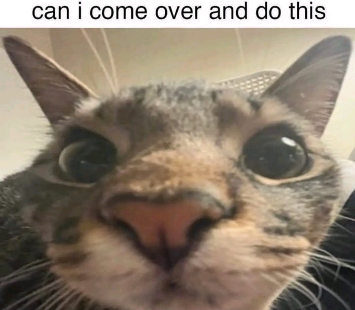 user avatar image for Spitz