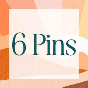 6 Pins