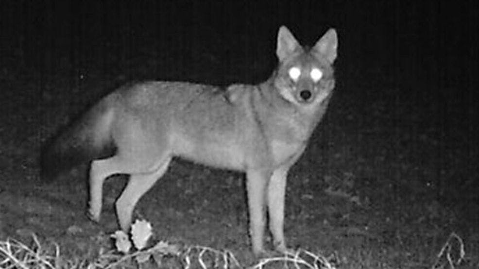 user avatar image for bluehill