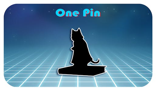 One Pin!