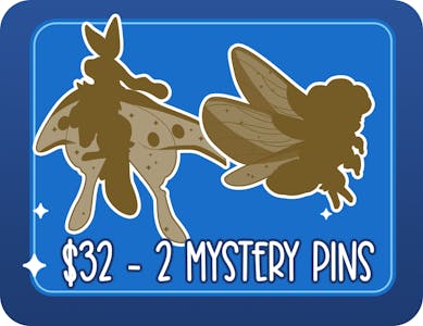 2 Mystery Pins