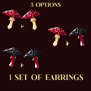 Earrings (25$ value)
