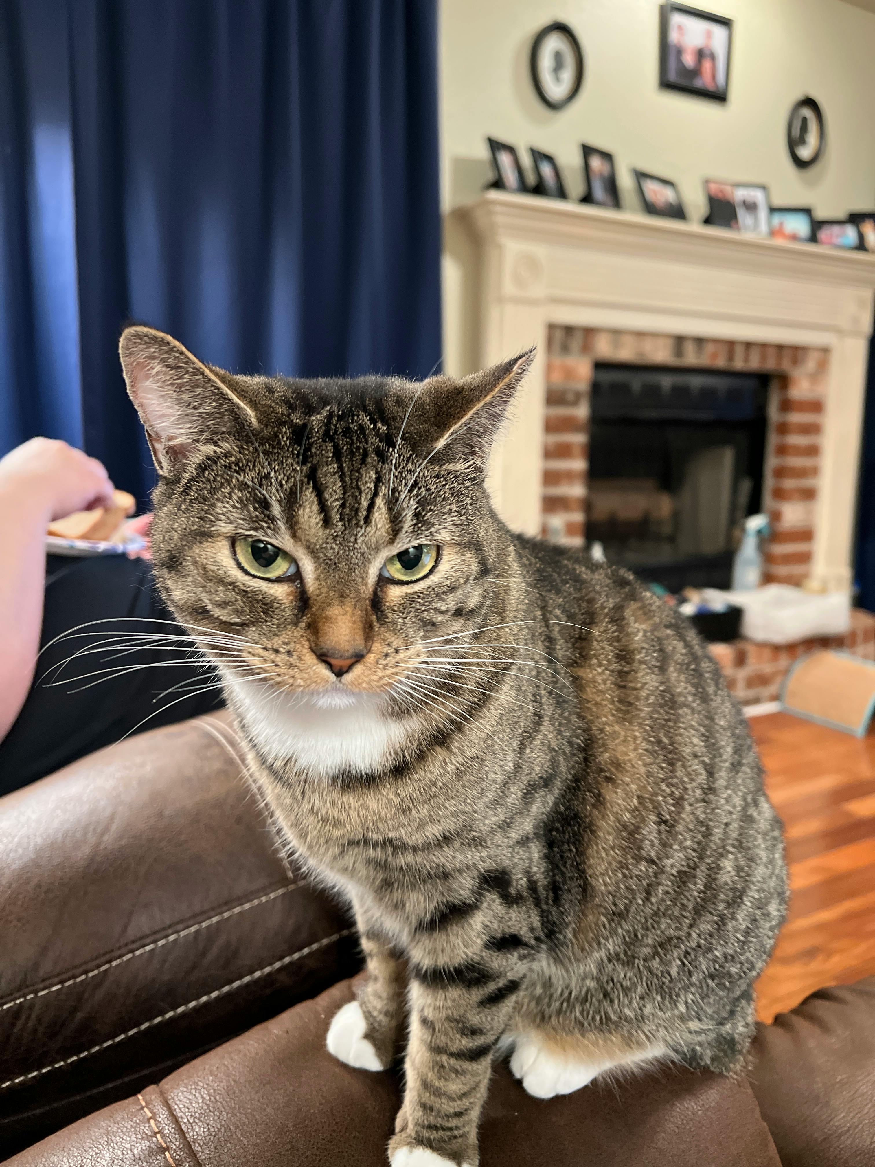 user avatar image for Amanda Rogers