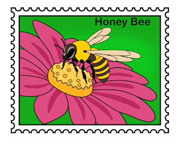 Honey Bee vinyl sticker 