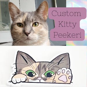 Custom Kitty Peeker