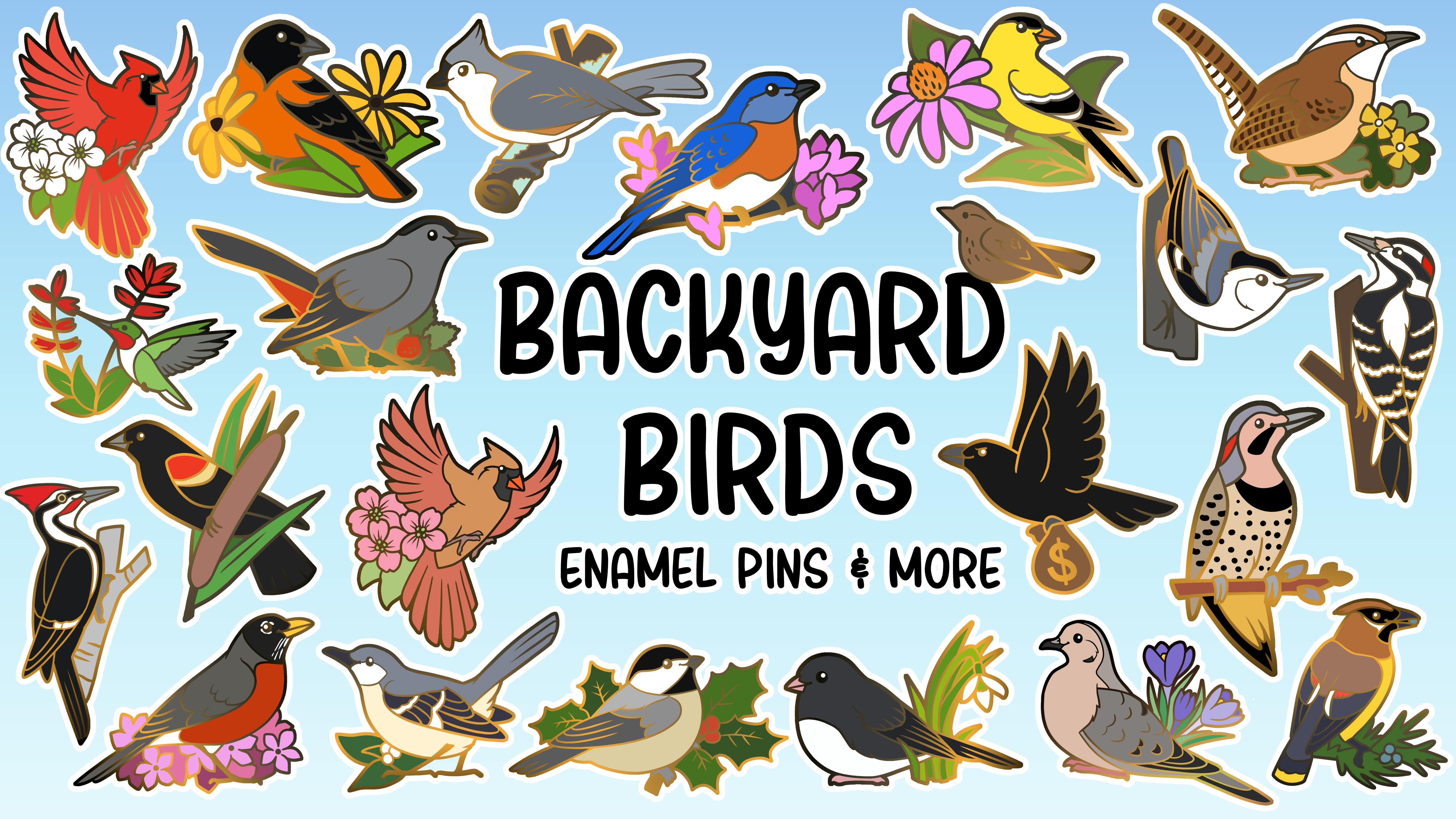 Backyard Birds: Pins & More!