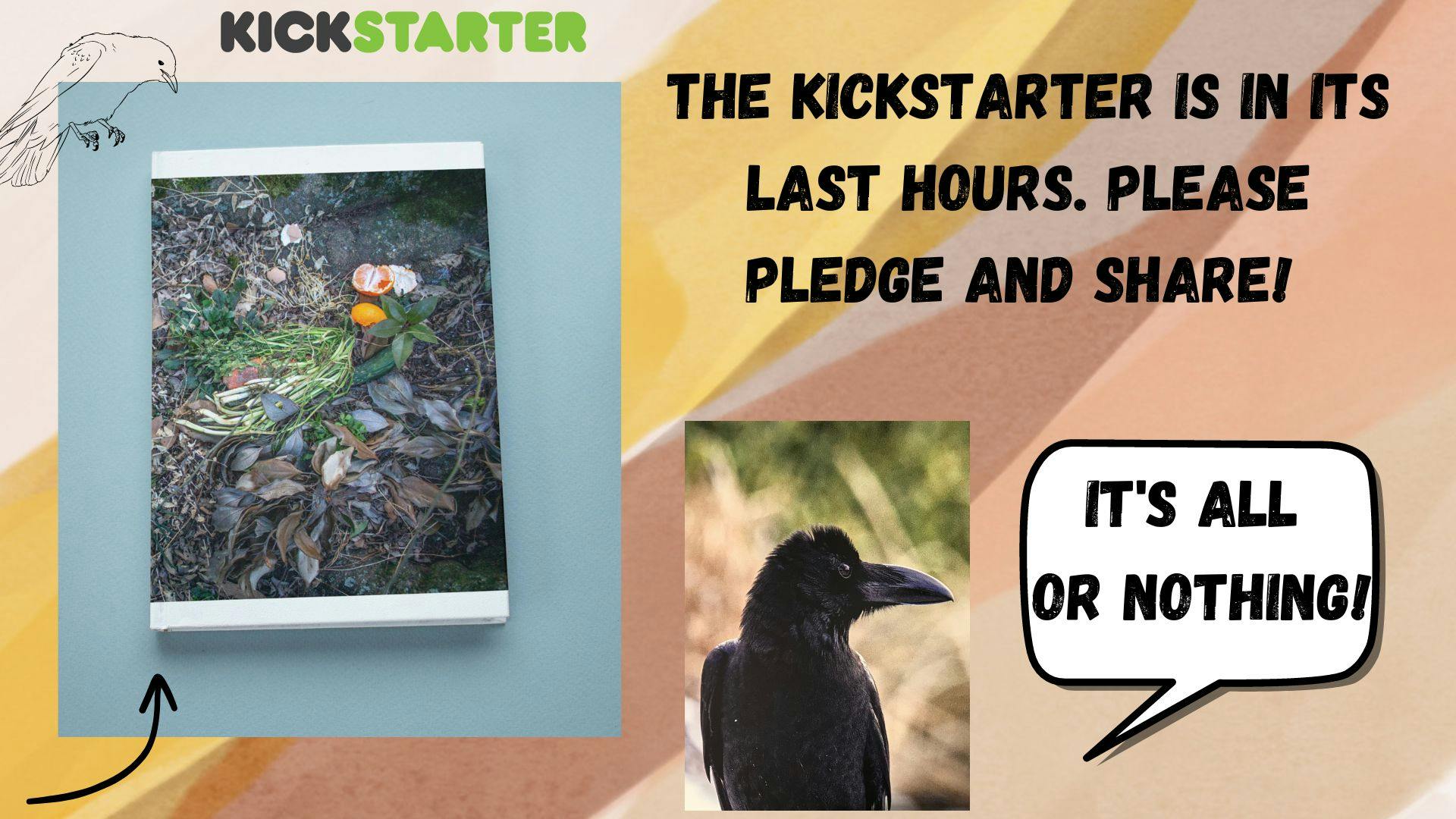 user avatar image for Joey Rositano 