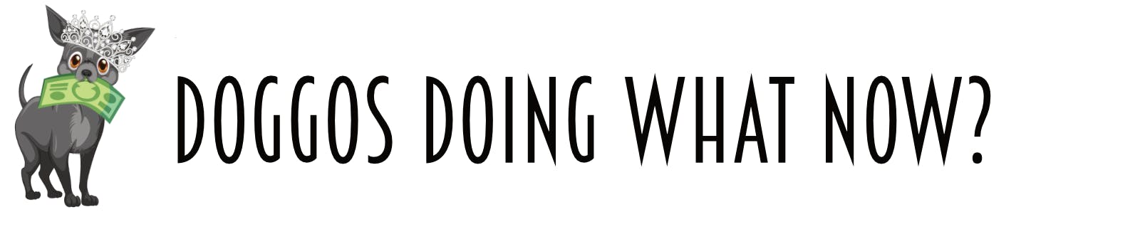DOGGOS DOING WHAT NOW?