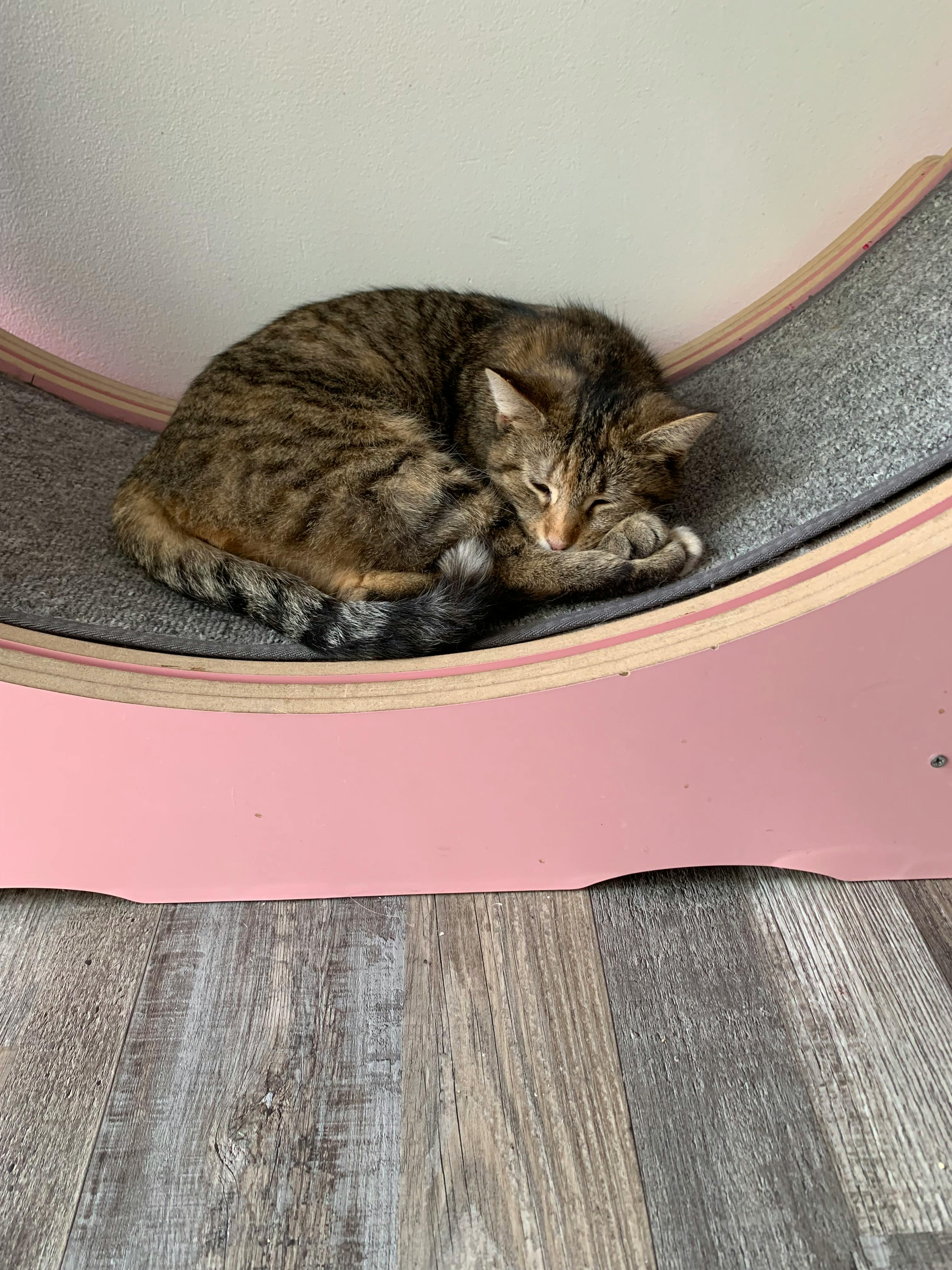 user avatar image for Victoria