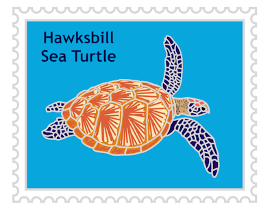 Sea Turtle sticker