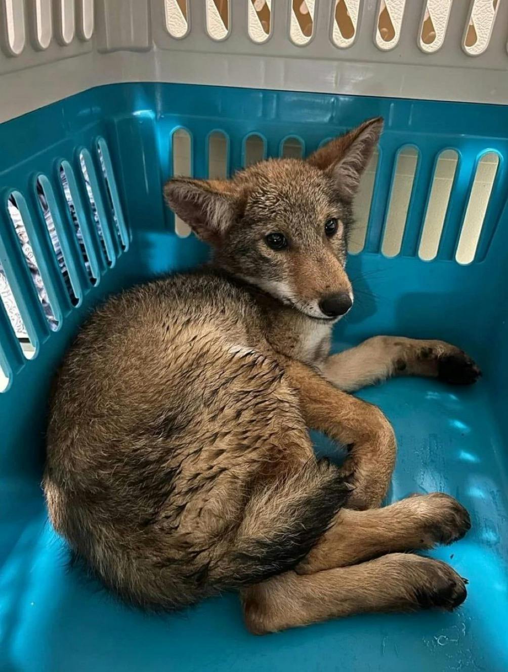 user avatar image for nick grey