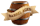 user avatar image for Barrel Aged Games