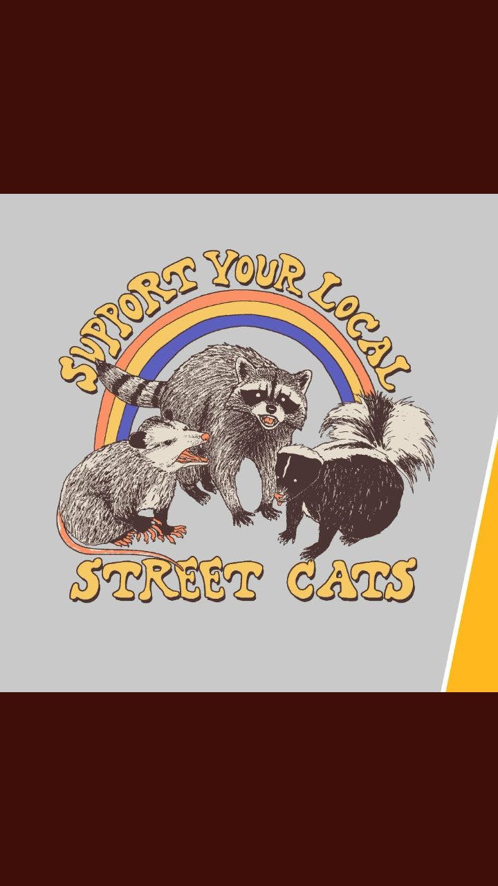 user avatar image for Mourning After