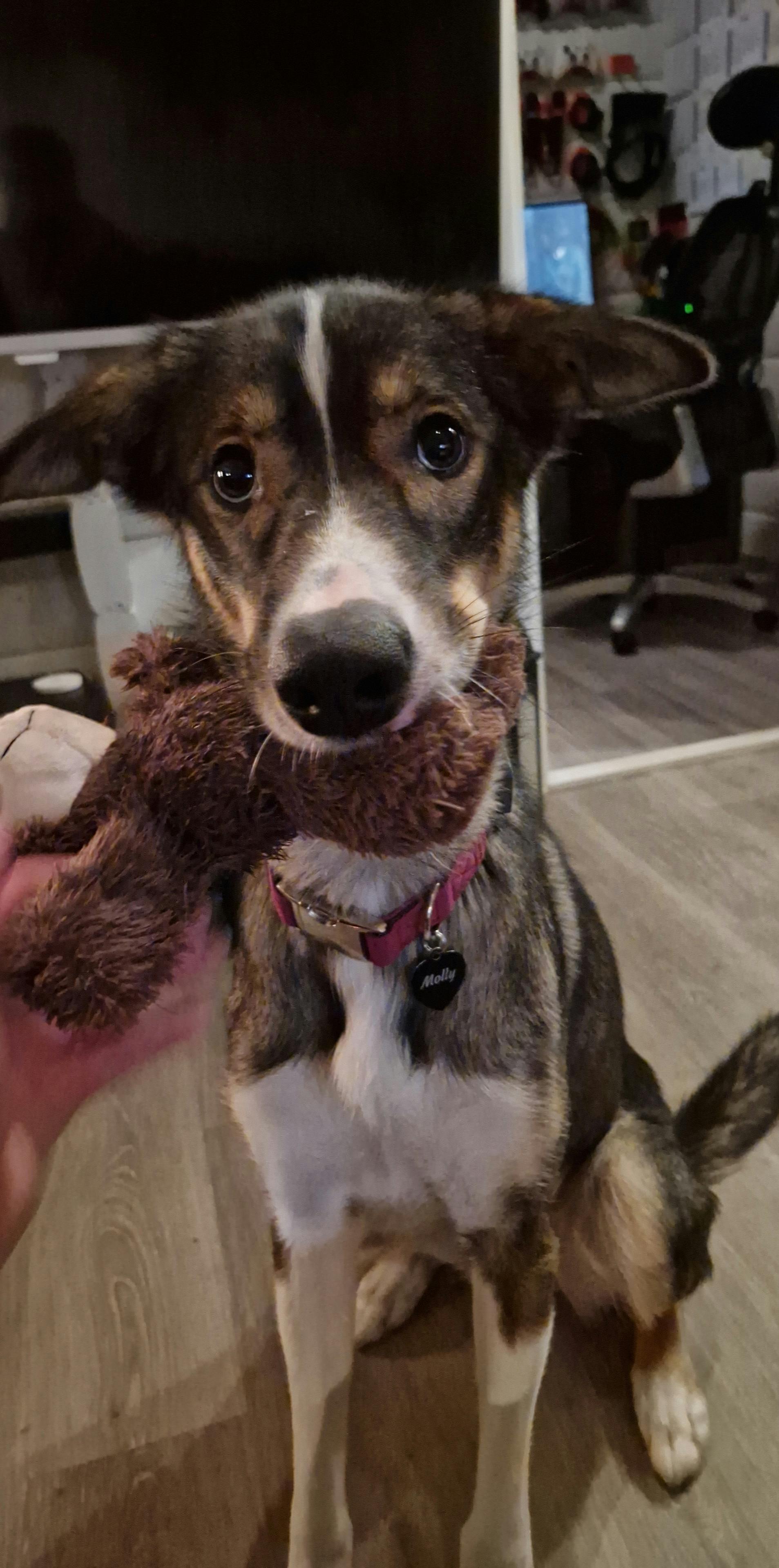 user avatar image for Spun