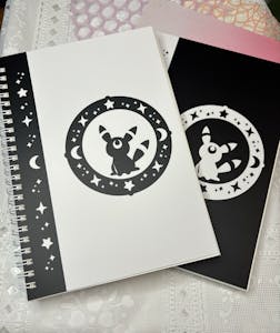 2 Notebooks