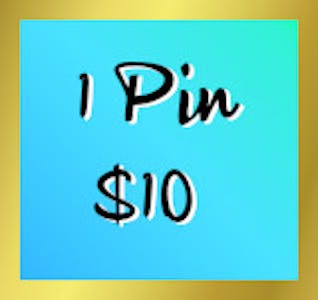✗ 1 PIN