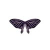 Glitter Purple Wings