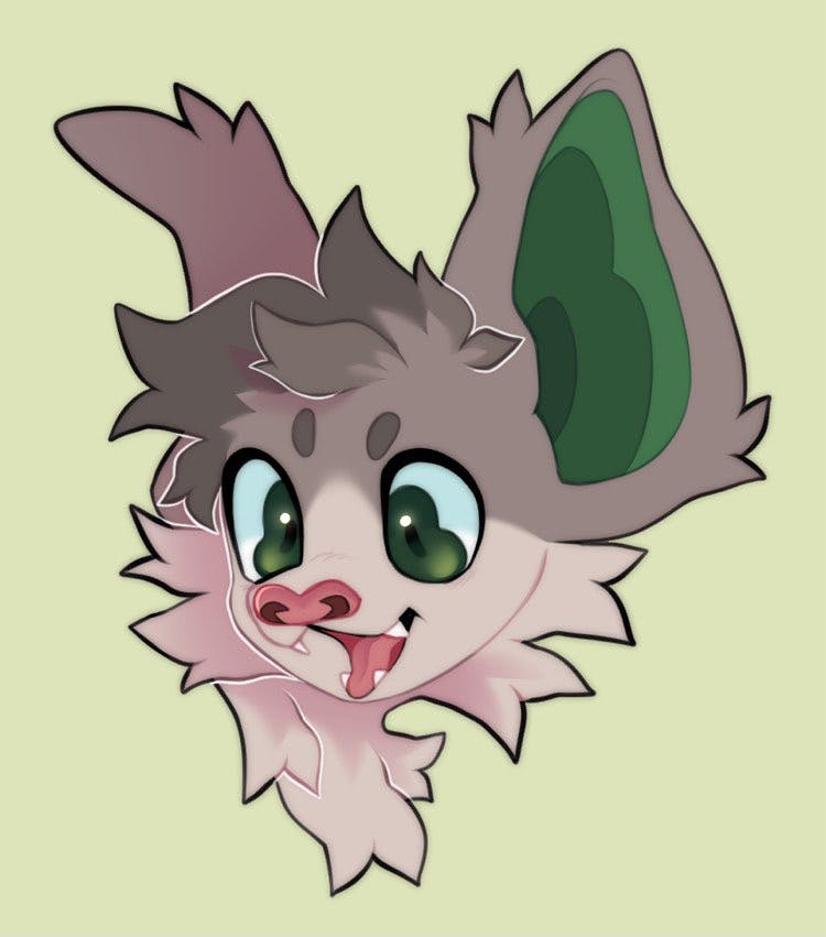 user avatar image for Jai Rush