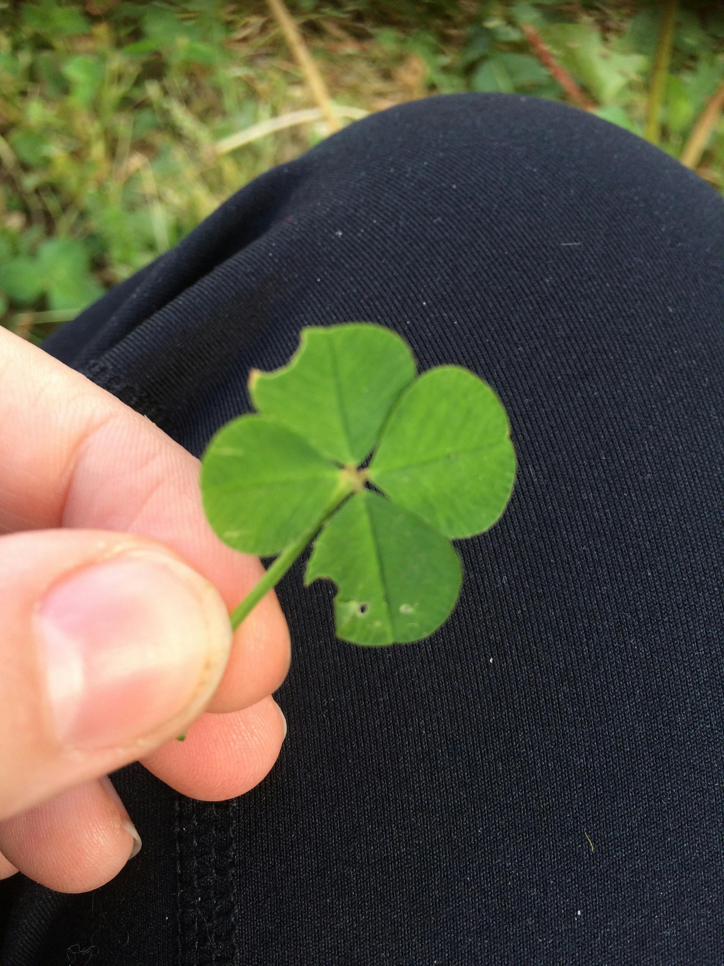 user avatar image for Dayna Peavyhouse